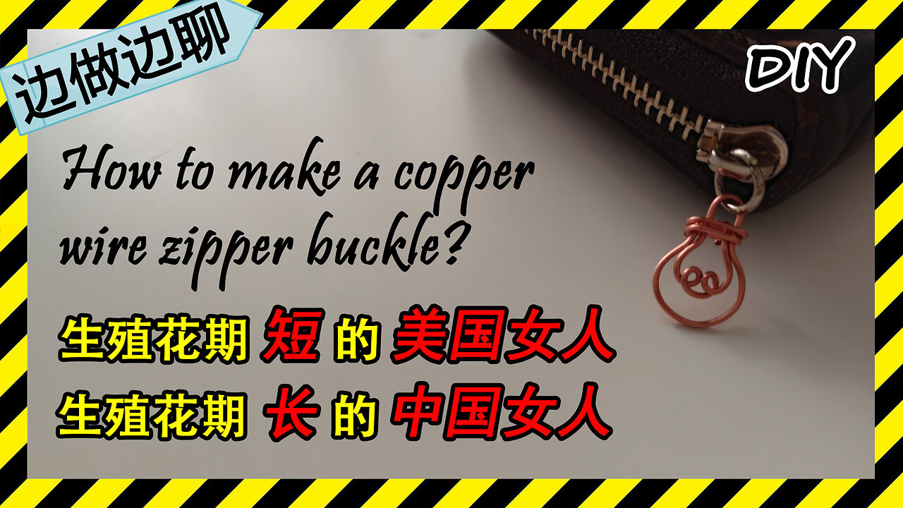 第38期 灯泡拉链扣 Issue 38 bulb zipper buckle copper wire DIY 美国女人和中国女人的生殖花期