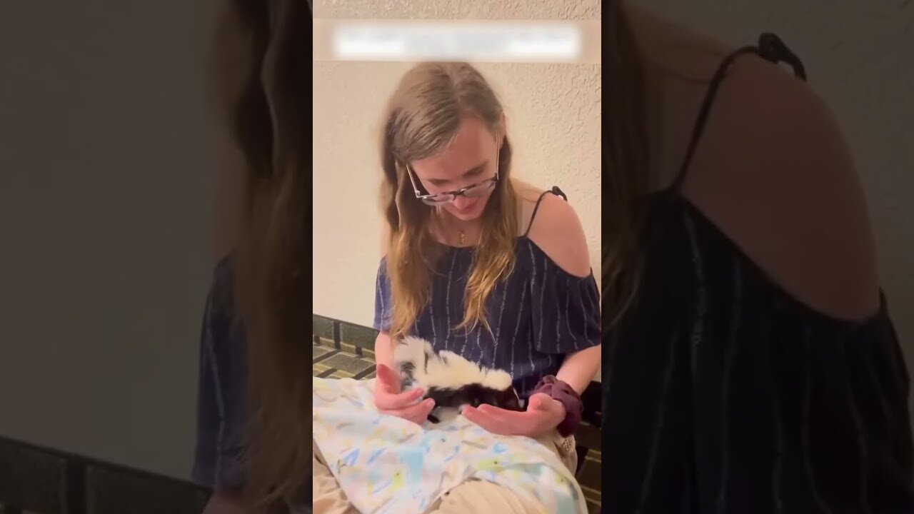 The baby skunk came to the yard with a man to ask for help