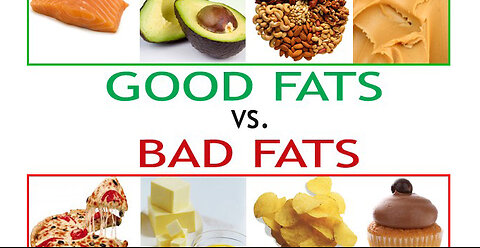 "The Story of Fat: Everything We Got Wrong About Health"