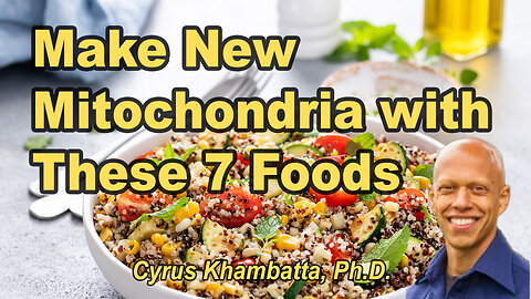 7-Foods-to-Make-New-Mitochondria (and Double Your Energy)