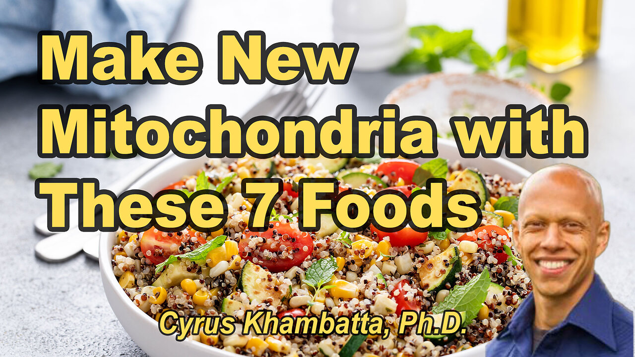 7-Foods-to-Make-New-Mitochondria (and Double Your Energy)
