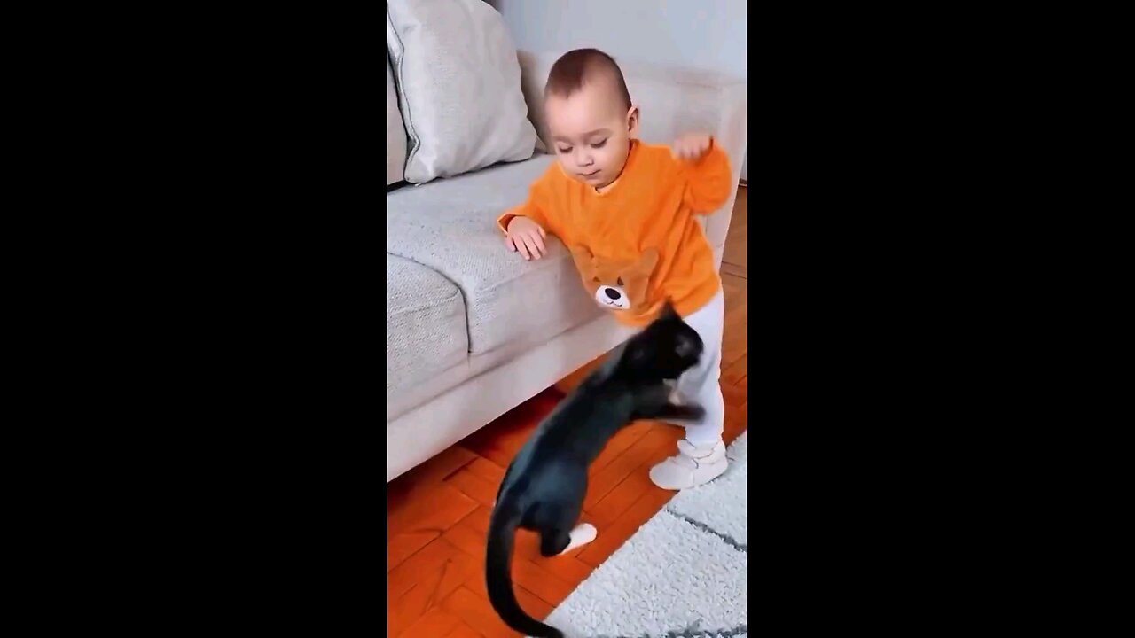 Funny Moments with Cat