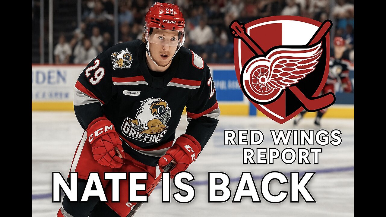 THE DETROIT RED WINGS NEED NATE DANIELSON