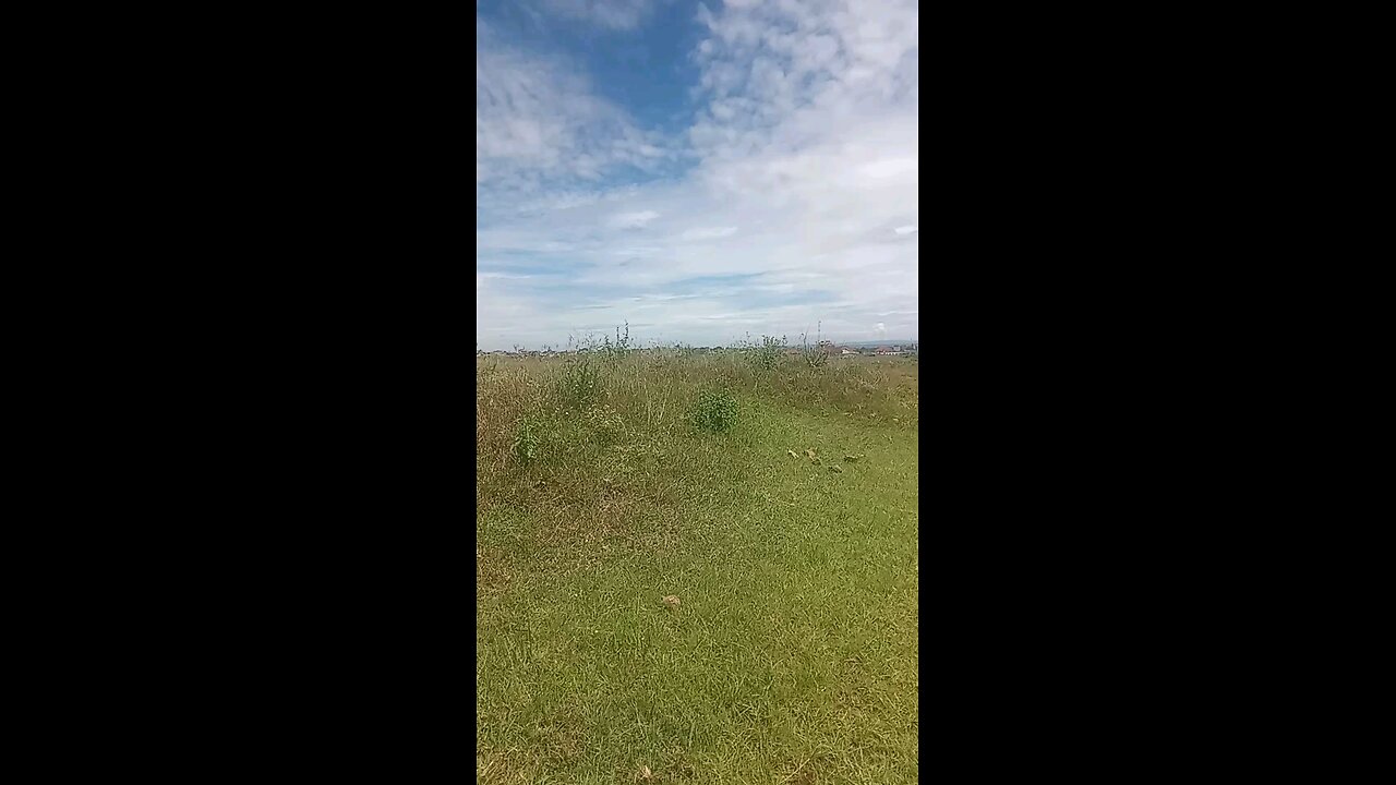 Beautiful landscape