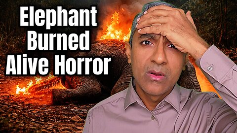 Outrage in Sri Lanka After Wild Elephant Is Set on Fire and Burned Alive