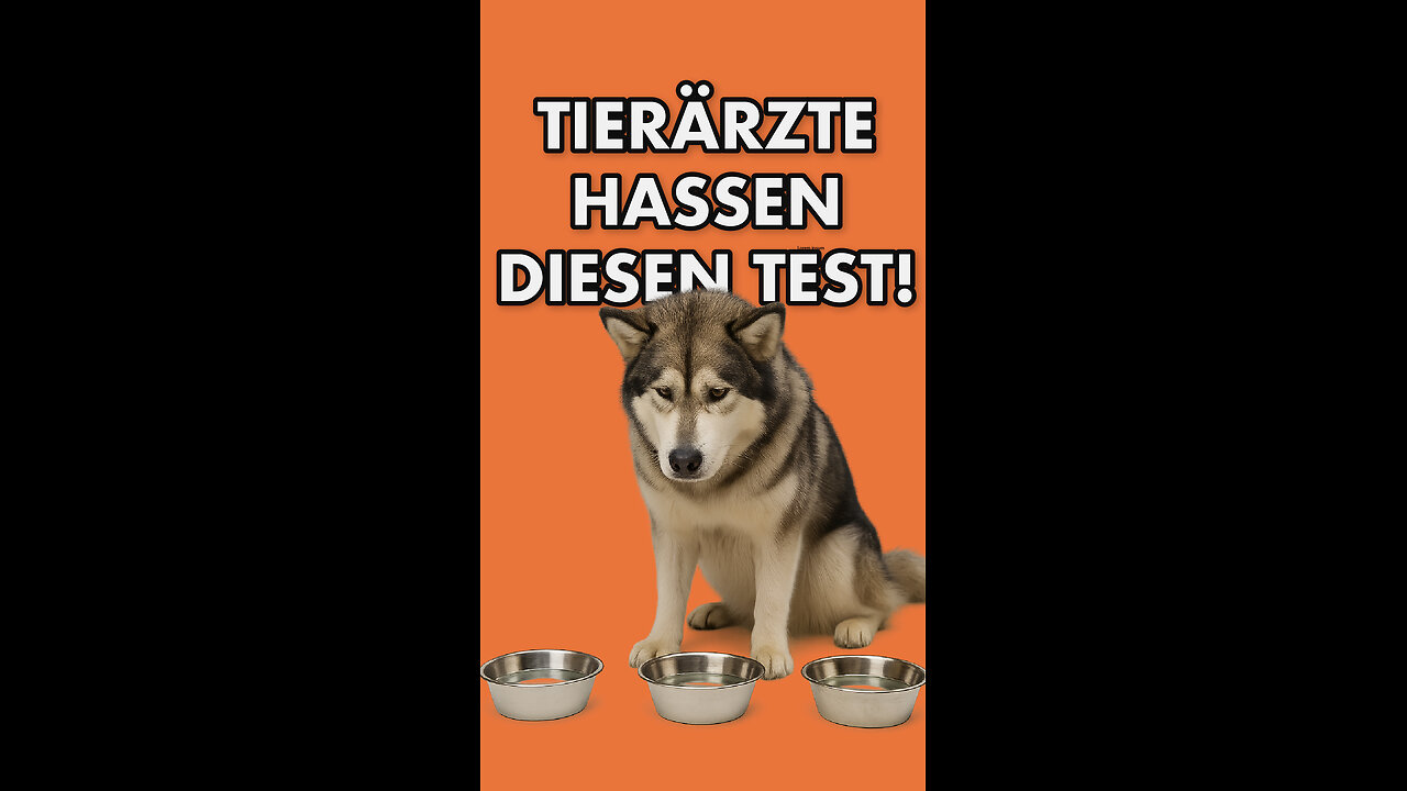 Diesen simplen Test hassen Tierärzte!