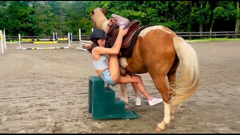 Horse Vs hot girl-guess who won? Epic fails 