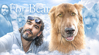 Saying Goodbye to Bear — SF673