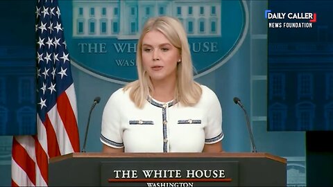 Karoline Leavitt Says Democrats Never Wanted Epstein Transparency