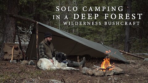 Surviving 24 Hours Alone in the Jungle | Extreme Solo Camping & Bushcraft Adventure
