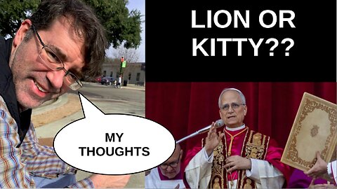 Pope Leo: Lion or Kitty?