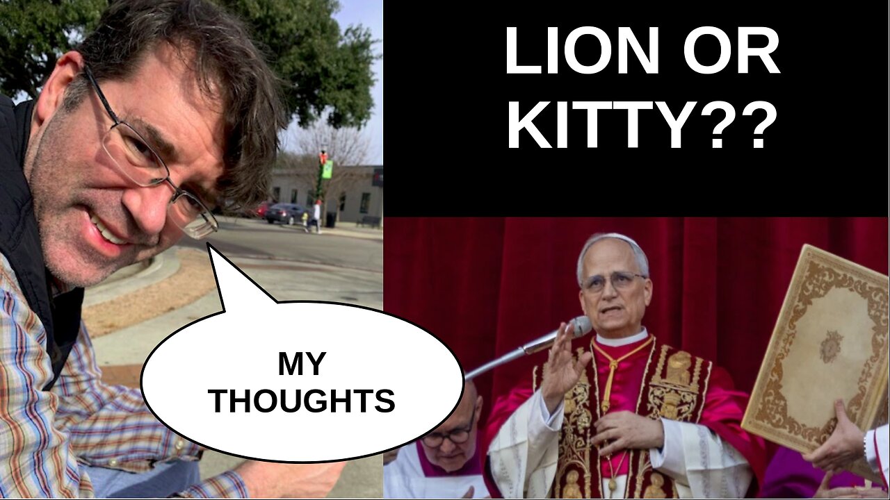 Pope Leo: Lion or Kitty?