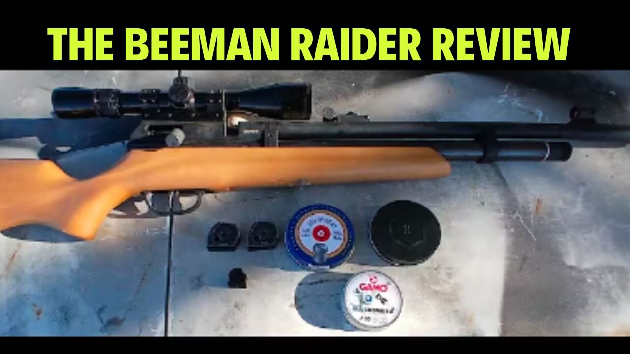 The Beeman Raider Review