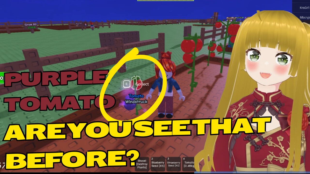 I Found a Purple Tomato Grow Garden