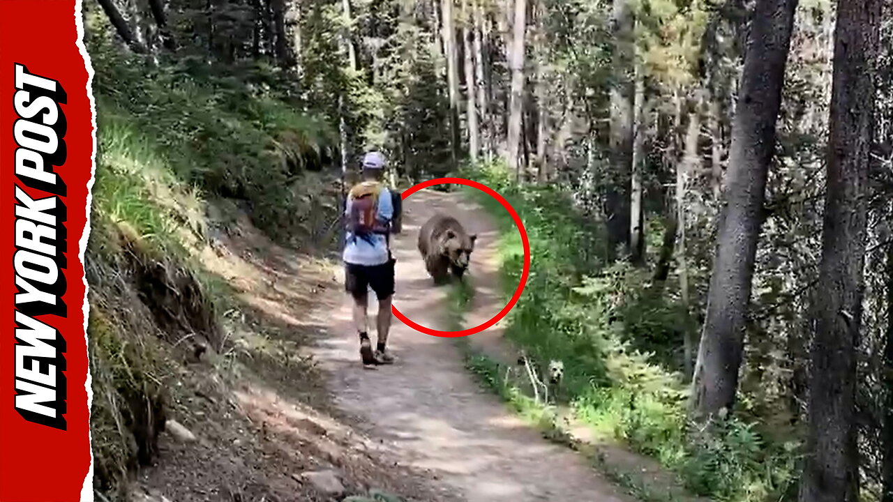 Bear Stalks Hikers and Dog During Scary Trail Encounter