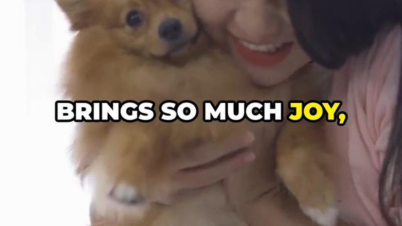 Praying for Pets