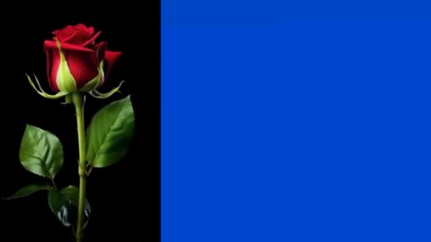 with love l only for u ❤