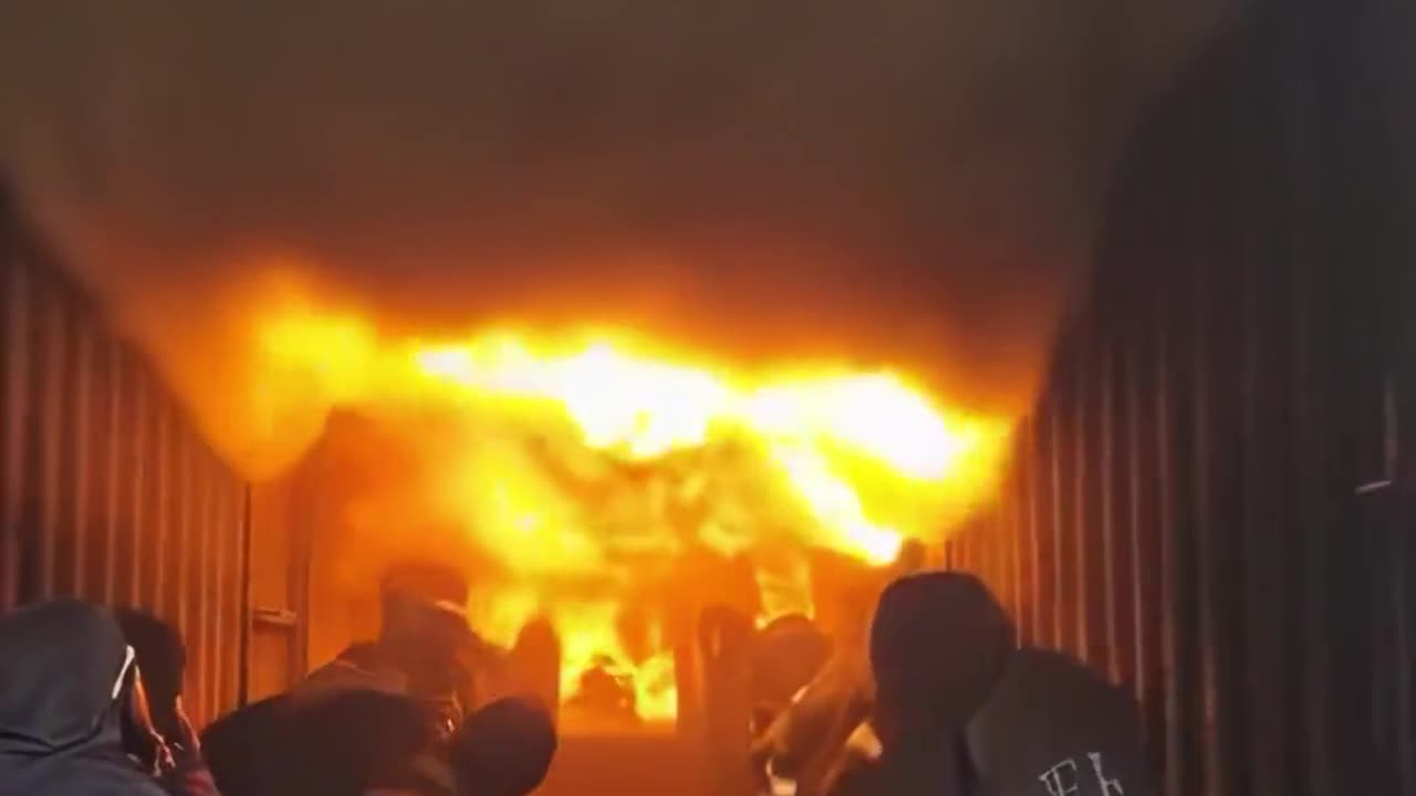 ✨🔥 Controlled Chaos in a Training Exercise! | FeedMyCuriosity