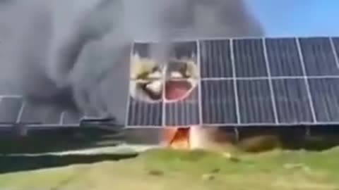 Solar panels are burning, causing the felling of thousands of olive trees in Andalusia Spain