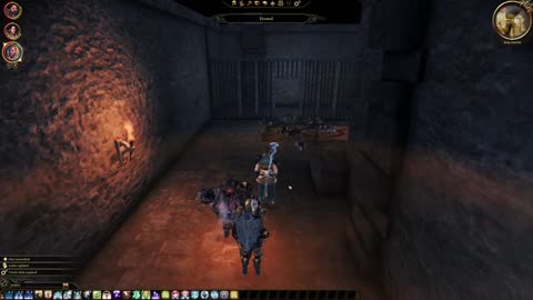 Dragon Age Origins: Awakening