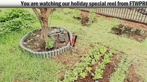 Cyber Monday Sale EMF Protection Gifts