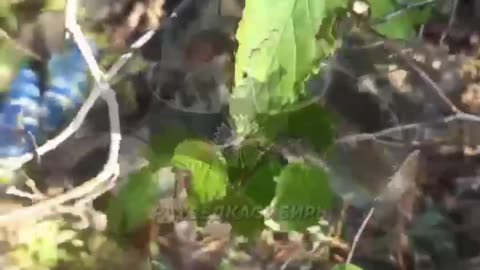 Ukraine war combat footage 9/1/25
