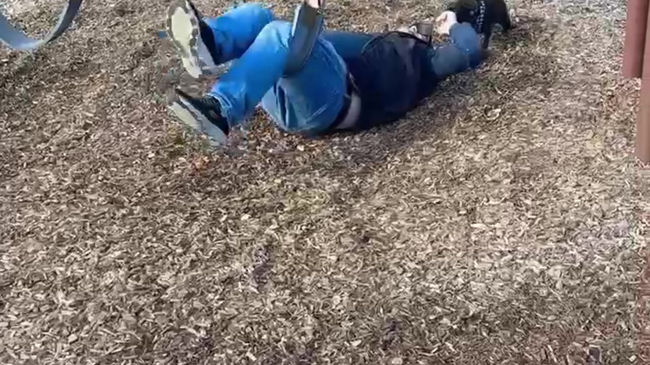 Dad and Dog Fall Off Swing