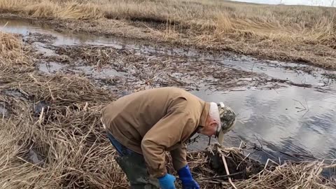 Almost Lost My Finger In A Beaver Trap