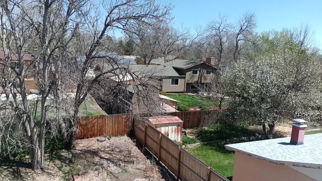 Typical Spring
