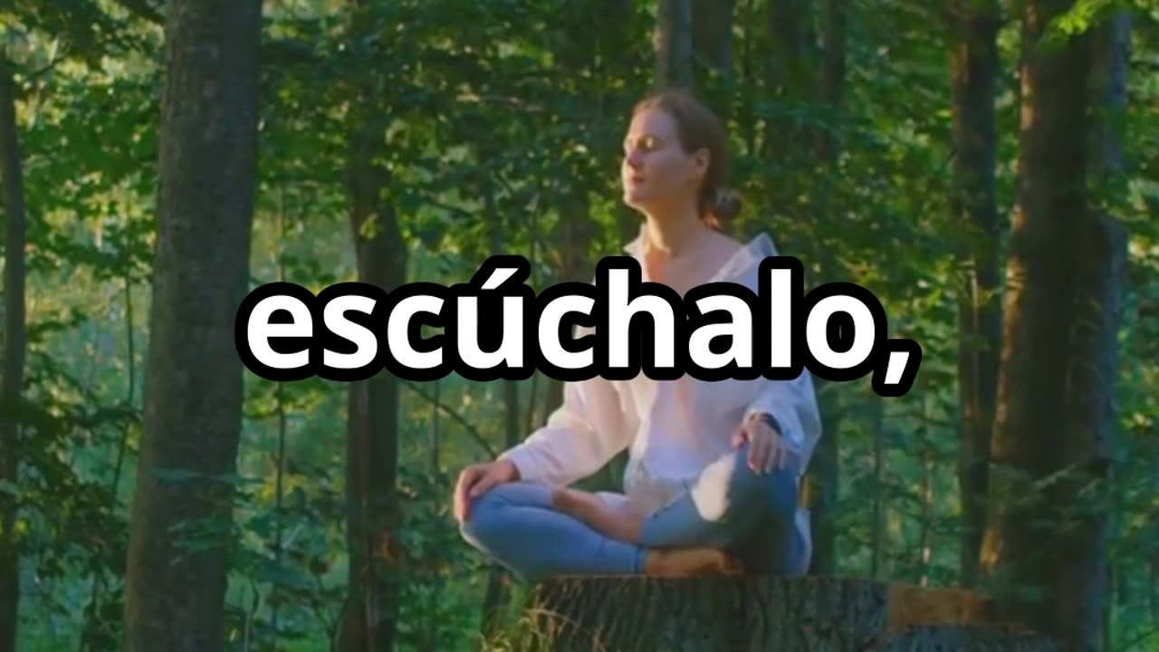 "EL SISTEMA DEL ALMA: La Fórmula Secreta para Alinear Cuerpo y Mente y Despertar tu Poder Divino"
