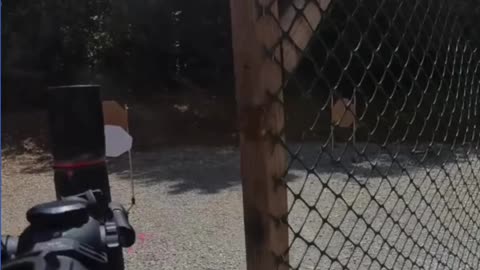 ORSA 3-Gun: Clearing the Paper Turtle Targets
