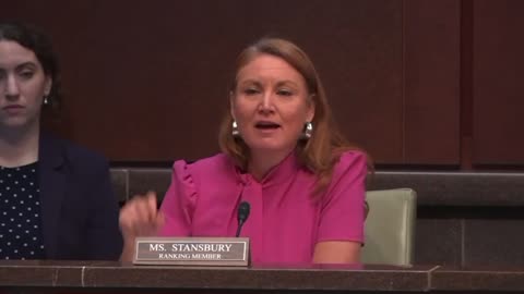 Crazed Rep. Melanie Stansbury credits GOP for MN lawmaker assassination