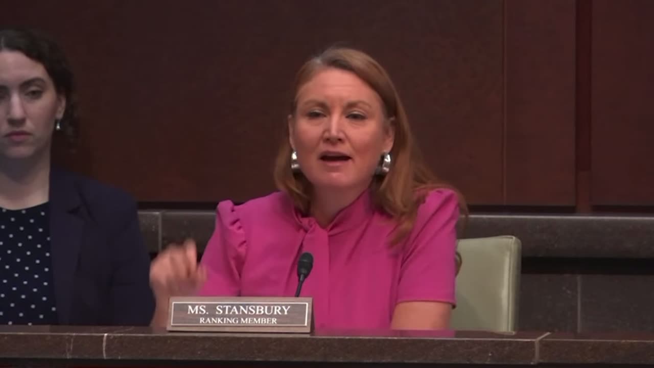 Crazed Rep. Melanie Stansbury credits GOP for MN lawmaker assassination