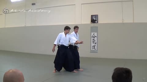 Aikido Academy Pascal Guillemin 6th Dan seminar 2015