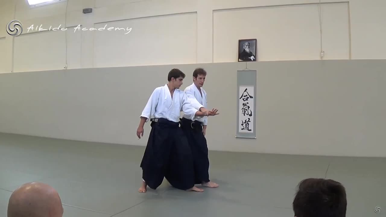 Aikido Academy Pascal Guillemin 6th Dan seminar 2015