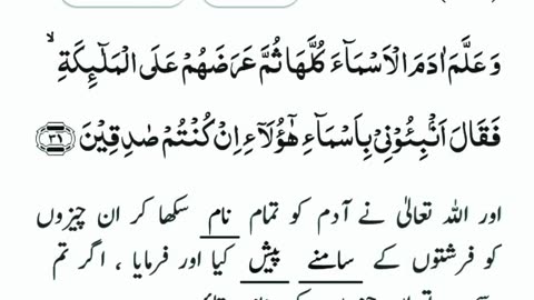 سورۃ البقرہ... آیت نمبر... 31 #dailyshorts