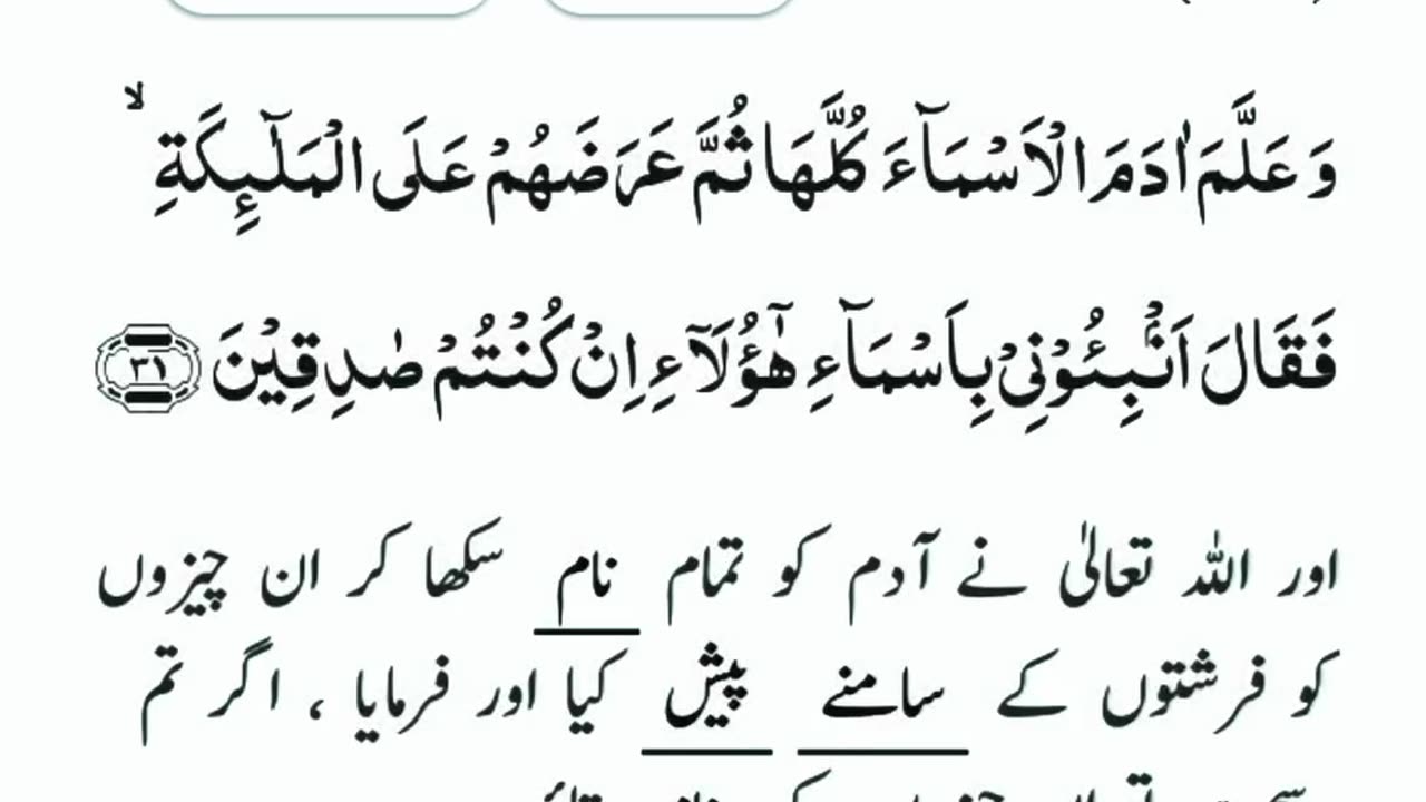 سورۃ البقرہ... آیت نمبر... 31 #dailyshorts