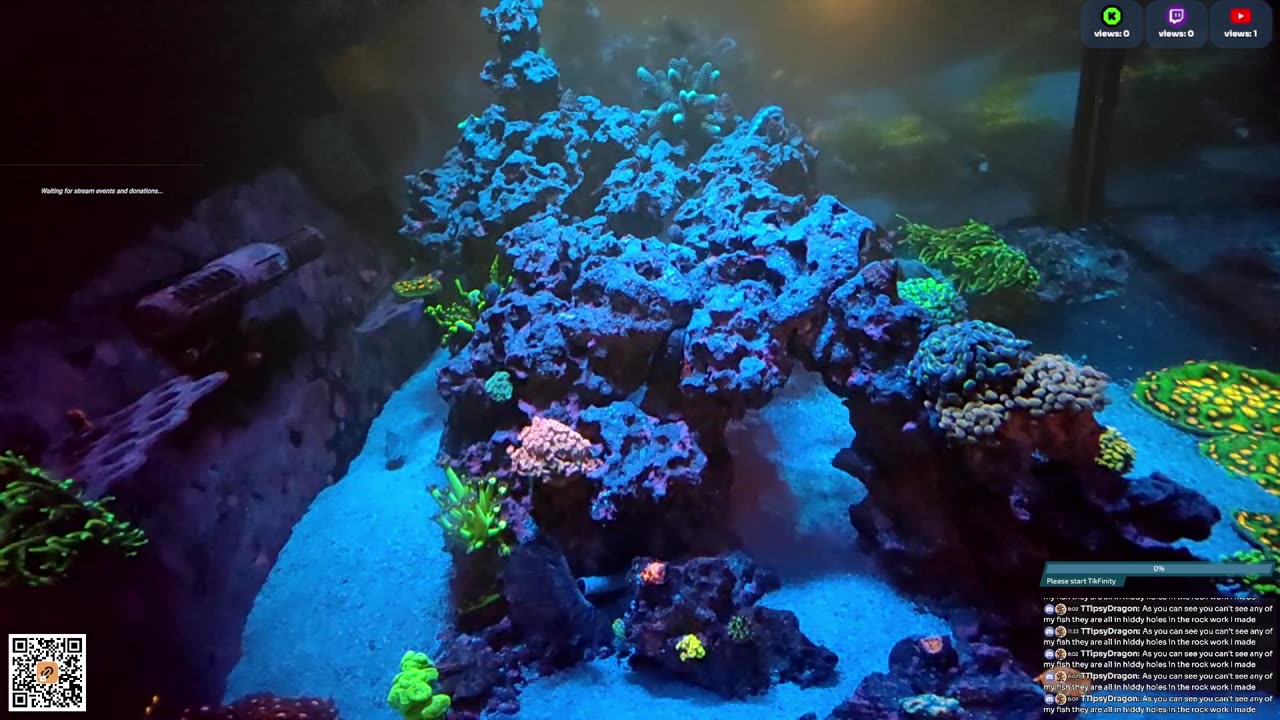 24/7 Real Live Reef Stream