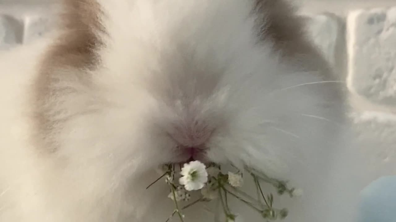 You have Wisdom and Power within each of you.