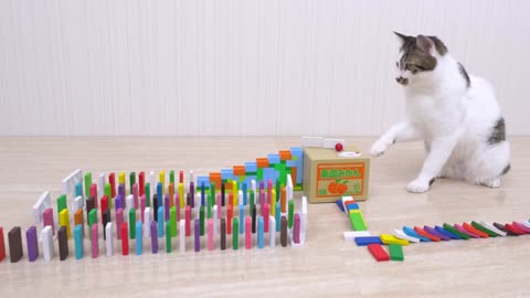 Funny game of cats with dominoes