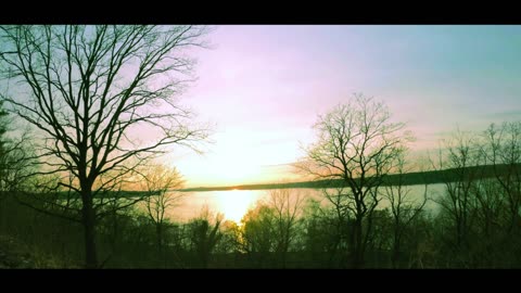 24/7 Relaxation Live: Nature Calms Stress (Authentic Sounds)