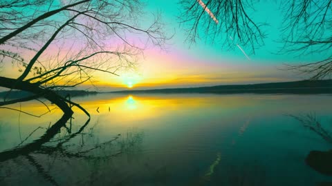24/7 Relaxation Live: Nature Calms Stress (Authentic Sounds)