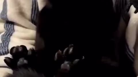 Cuutttee 🥹😭😭😭😭😭🤍🤍