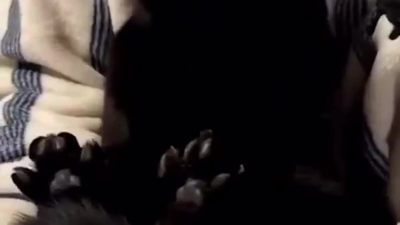 Cuutttee 🥹😭😭😭😭😭🤍🤍