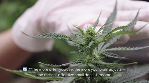 You Can Drink Your Weed Now? What You *Need* to Know About THC Beverages**