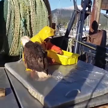 We are here to collect the protection fee