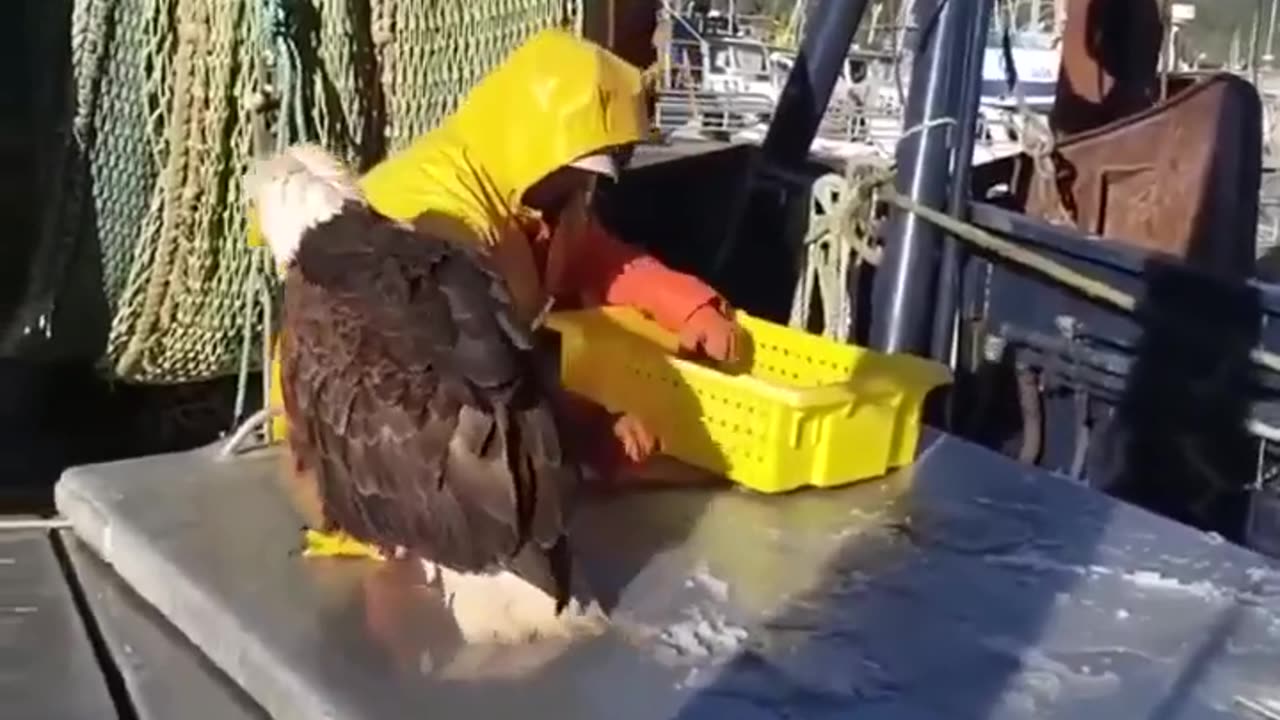 We are here to collect the protection fee