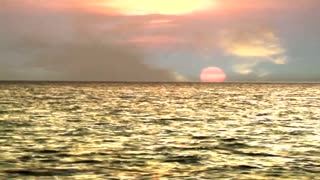 ⭐ReeMake - The Social Song🎵