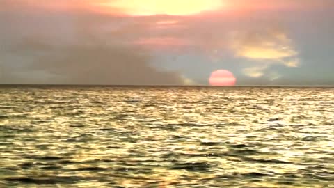 ⭐ReeMake - The Social Song🎵