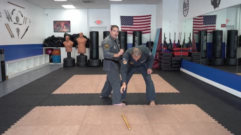 Evading the Storm - Principles, Theories, Rules, Concepts, Ideas, and Strategies